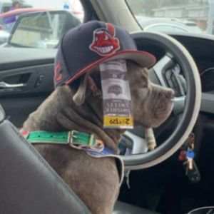 Meet your Posher, Jimmy